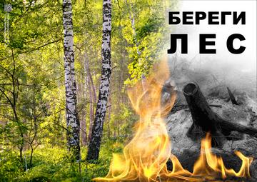 Плакат предупреждает о важности сбережения лесов от пожаров 