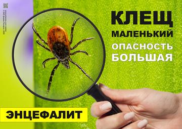 Плакат, предупреждающий об опасности инфекции  опасного заболевания  - клещевого энцефалита
