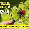 Плакат Клещи 01