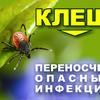 Плакат Клещи 03