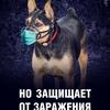Плакат Коронавирус 06