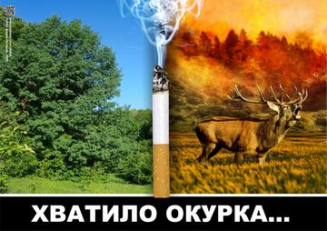Плакат предупреждает о необходимости соблюдения чистоты в лесу. Оставленный непогашенный окурок сигареты может привести к гибели леса и его обитателей в пламени пожара.