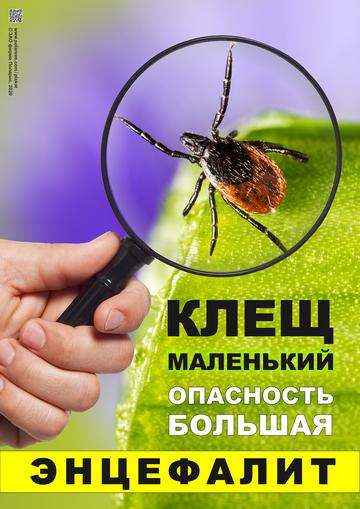 Плакат предупреждает  об опасности инфекции клещевого энцефалита